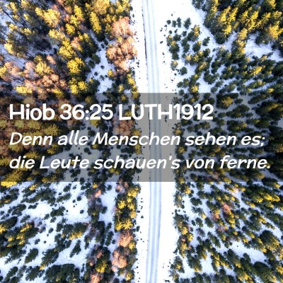 Picture 02 - Hiob 36:25 LUTH1912 - Denn alle Menschen sehen es; die Leute schauen's - Bible Verse Picture