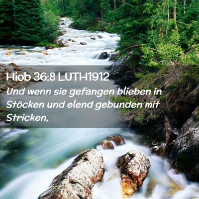 Picture 02 - Hiob 36:8 LUTH1912 - Und wenn sie gefangen blieben in Stöcken und - Bible Verse Picture