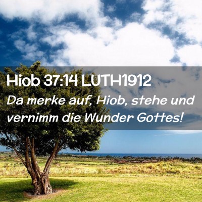 Picture 02 - Hiob 37:14 LUTH1912 - Da merke auf, Hiob, stehe und vernimm die Wunder - Bible Verse Picture
