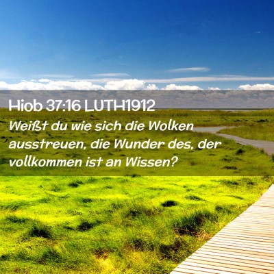 Picture 02 - Hiob 37:16 LUTH1912 - Weißt du wie sich die Wolken ausstreuen, die - Bible Verse Picture