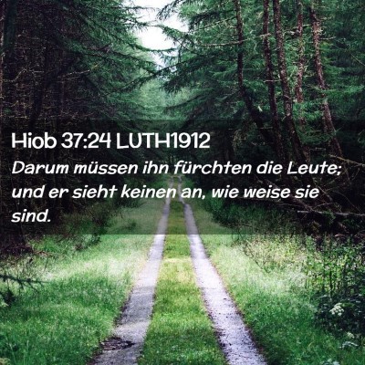 Picture 02 - Hiob 37:24 LUTH1912 - Darum müssen ihn fürchten die Leute; und er - Bible Verse Picture