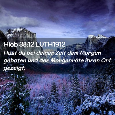 Picture 02 - Hiob 38:12 LUTH1912 - Hast du bei deiner Zeit dem Morgen geboten und - Bible Verse Picture