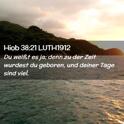 Picture 02 - Hiob 38:21 LUTH1912 - Du weißt es ja; denn zu der Zeit wurdest du - Bible Verse Picture