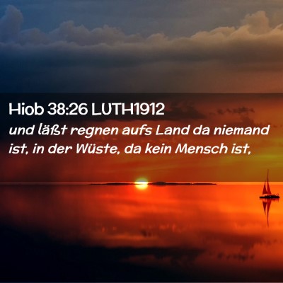 Picture 02 - Hiob 38:26 LUTH1912 - und läßt regnen aufs Land da niemand ist, in - Bible Verse Picture
