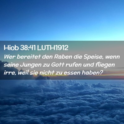 Picture 02 - Hiob 38:41 LUTH1912 - Wer bereitet den Raben die Speise, wenn seine - Bible Verse Picture