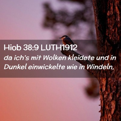 Picture 02 - Hiob 38:9 LUTH1912 - da ich's mit Wolken kleidete und in Dunkel - Bible Verse Picture