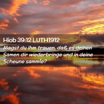 Picture 02 - Hiob 39:12 LUTH1912 - Magst du ihm trauen, daß es deinen Samen dir - Bible Verse Picture