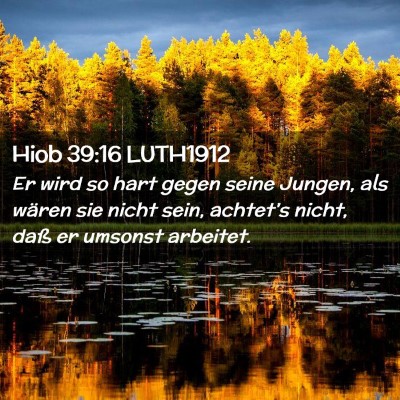 Picture 02 - Hiob 39:16 LUTH1912 - Er wird so hart gegen seine Jungen, als wären - Bible Verse Picture