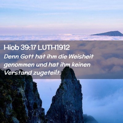 Picture 02 - Hiob 39:17 LUTH1912 - Denn Gott hat ihm die Weisheit genommen und hat - Bible Verse Picture