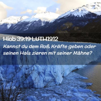 Picture 02 - Hiob 39:19 LUTH1912 - Kannst du dem Roß Kräfte geben oder seinen Hals - Bible Verse Picture