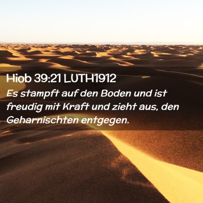 Picture 02 - Hiob 39:21 LUTH1912 - Es stampft auf den Boden und ist freudig mit - Bible Verse Picture