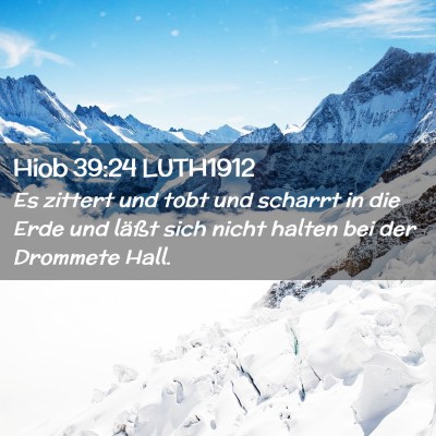 Picture 02 - Hiob 39:24 LUTH1912 - Es zittert und tobt und scharrt in die Erde und - Bible Verse Picture