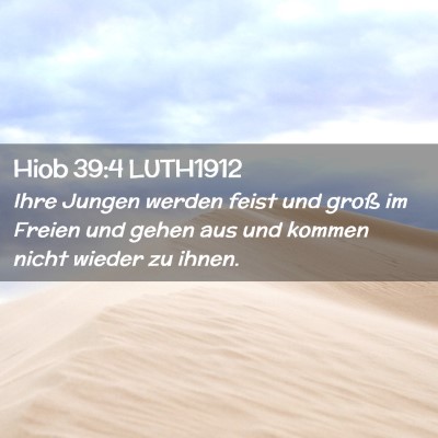 Picture 02 - Hiob 39:4 LUTH1912 - Ihre Jungen werden feist und groß im Freien und - Bible Verse Picture