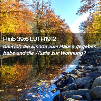 Picture 02 - Hiob 39:6 LUTH1912 - dem ich die Einöde zum Hause gegeben habe und - Bible Verse Picture