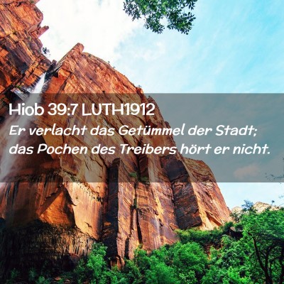 Picture 02 - Hiob 39:7 LUTH1912 - Er verlacht das Getümmel der Stadt; das Pochen - Bible Verse Picture