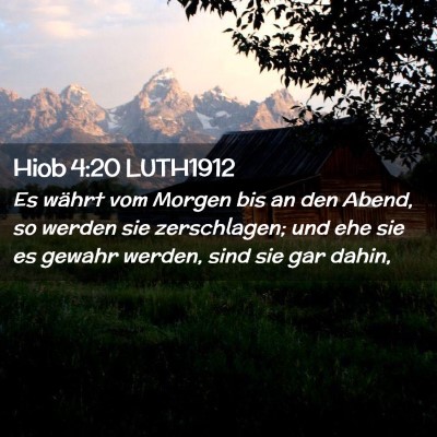 Picture 02 - Hiob 4:20 LUTH1912 - Es währt vom Morgen bis an den Abend, so werden - Bible Verse Picture