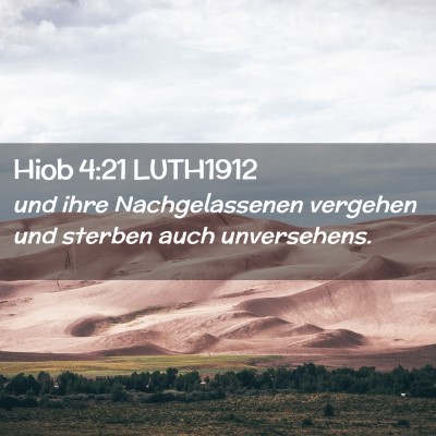Picture 02 - Hiob 4:21 LUTH1912 - und ihre Nachgelassenen vergehen und sterben auch - Bible Verse Picture