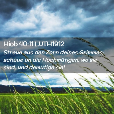 Picture 02 - Hiob 40:11 LUTH1912 - Streue aus den Zorn deines Grimmes; schaue an die - Bible Verse Picture