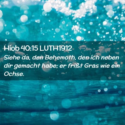 Picture 02 - Hiob 40:15 LUTH1912 - Siehe da, den Behemoth, den ich neben dir gemacht - Bible Verse Picture