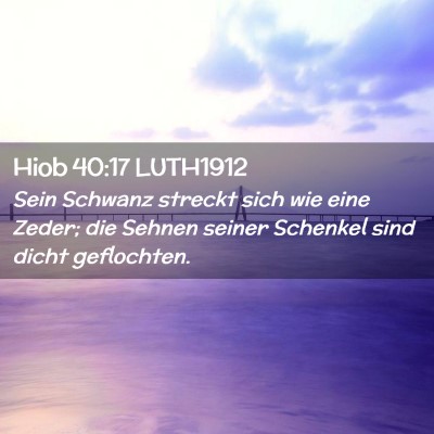 Picture 02 - Hiob 40:17 LUTH1912 - Sein Schwanz streckt sich wie eine Zeder; die - Bible Verse Picture