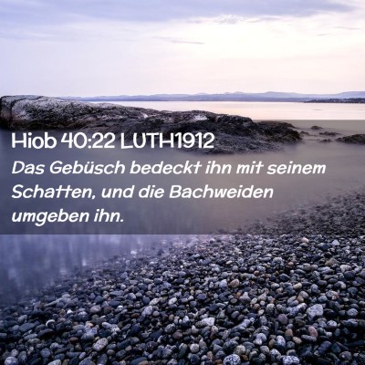 Picture 02 - Hiob 40:22 LUTH1912 - Das Gebüsch bedeckt ihn mit seinem Schatten, und - Bible Verse Picture