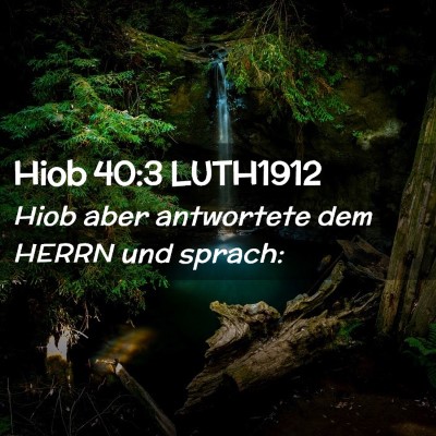 Picture 02 - Hiob 40:3 LUTH1912 - Hiob aber antwortete dem HERRN und - Bible Verse Picture