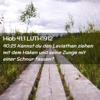 Picture 02 - Hiob 41:1 LUTH1912 - 40:25 Kannst du den Leviathan ziehen mit dem - Bible Verse Picture
