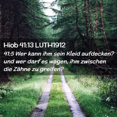 Picture 02 - Hiob 41:13 LUTH1912 - 41:5 Wer kann ihm sein Kleid aufdecken? und wer - Bible Verse Picture