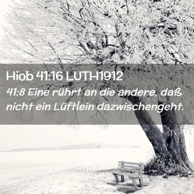 Picture 02 - Hiob 41:16 LUTH1912 - 41:8 Eine rührt an die andere, daß nicht ein - Bible Verse Picture