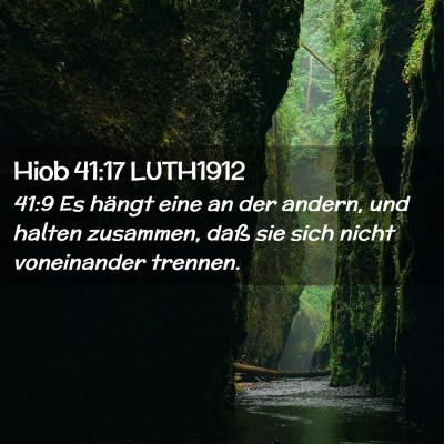 Picture 02 - Hiob 41:17 LUTH1912 - 41:9 Es hängt eine an der andern, und halten - Bible Verse Picture