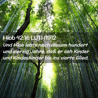 Picture 02 - Hiob 42:16 LUTH1912 - Und Hiob lebte nach diesem hundert und vierzig - Bible Verse Picture