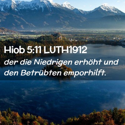Picture 02 - Hiob 5:11 LUTH1912 - der die Niedrigen erhöht und den Betrübten - Bible Verse Picture