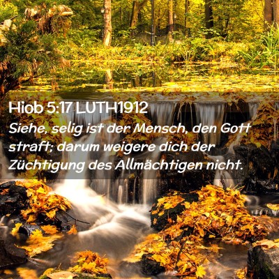 Picture 02 - Hiob 5:17 LUTH1912 - Siehe, selig ist der Mensch, den Gott straft; - Bible Verse Picture