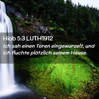 Picture 02 - Hiob 5:3 LUTH1912 - Ich sah einen Toren eingewurzelt, und ich fluchte - Bible Verse Picture