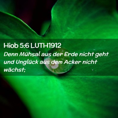 Picture 02 - Hiob 5:6 LUTH1912 - Denn Mühsal aus der Erde nicht geht und Unglück - Bible Verse Picture
