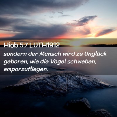Picture 02 - Hiob 5:7 LUTH1912 - sondern der Mensch wird zu Unglück geboren, wie - Bible Verse Picture