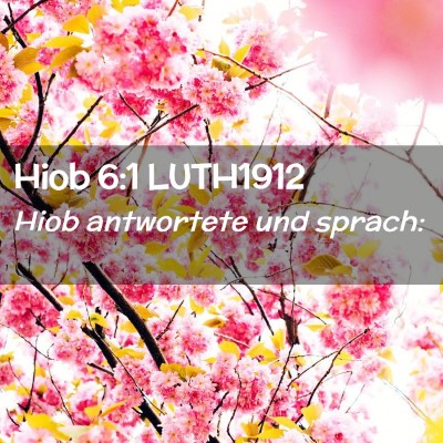 Picture 02 - Hiob 6:1 LUTH1912 - Hiob antwortete und - Bible Verse Picture