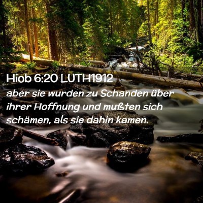 Picture 02 - Hiob 6:20 LUTH1912 - aber sie wurden zu Schanden über ihrer Hoffnung - Bible Verse Picture