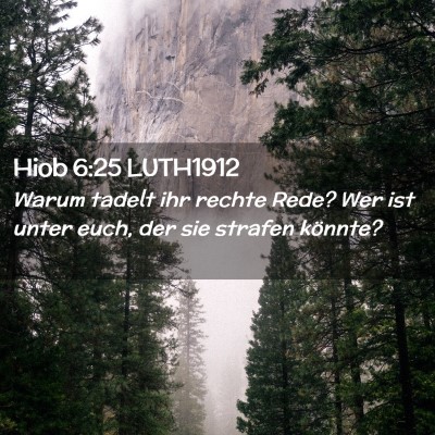 Picture 02 - Hiob 6:25 LUTH1912 - Warum tadelt ihr rechte Rede? Wer ist unter euch, - Bible Verse Picture