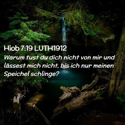 Picture 02 - Hiob 7:19 LUTH1912 - Warum tust du dich nicht von mir und lässest - Bible Verse Picture