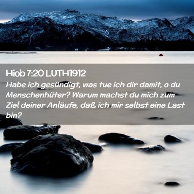 Picture 02 - Hiob 7:20 LUTH1912 - Habe ich gesündigt, was tue ich dir damit, o du - Bible Verse Picture