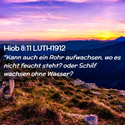 Picture 02 - Hiob 8:11 LUTH1912 - “Kann auch ein Rohr aufwachsen, wo es nicht - Bible Verse Picture