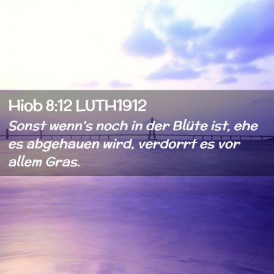 Picture 02 - Hiob 8:12 LUTH1912 - Sonst wenn's noch in der Blüte ist, ehe es - Bible Verse Picture