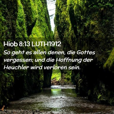 Picture 02 - Hiob 8:13 LUTH1912 - So geht es allen denen, die Gottes vergessen; und - Bible Verse Picture