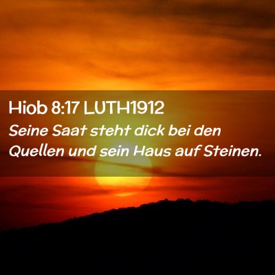 Picture 02 - Hiob 8:17 LUTH1912 - Seine Saat steht dick bei den Quellen und sein - Bible Verse Picture