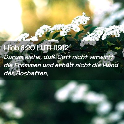 Picture 02 - Hiob 8:20 LUTH1912 - Darum siehe, daß Gott nicht verwirft die Frommen - Bible Verse Picture