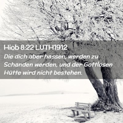 Picture 02 - Hiob 8:22 LUTH1912 - Die dich aber hassen, werden zu Schanden werden, - Bible Verse Picture
