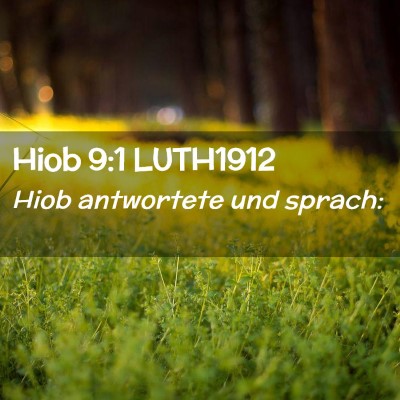 Picture 02 - Hiob 9:1 LUTH1912 - Hiob antwortete und - Bible Verse Picture