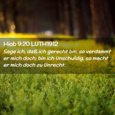 Picture 02 - Hiob 9:20 LUTH1912 - Sage ich, daß ich gerecht bin, so verdammt er - Bible Verse Picture