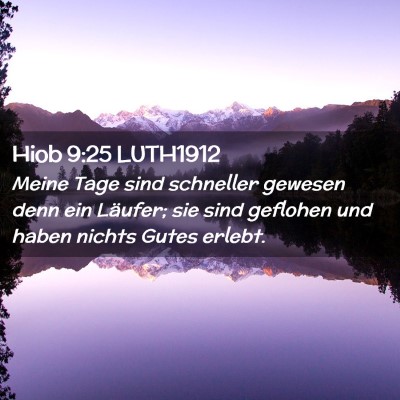 Picture 02 - Hiob 9:25 LUTH1912 - Meine Tage sind schneller gewesen denn ein - Bible Verse Picture